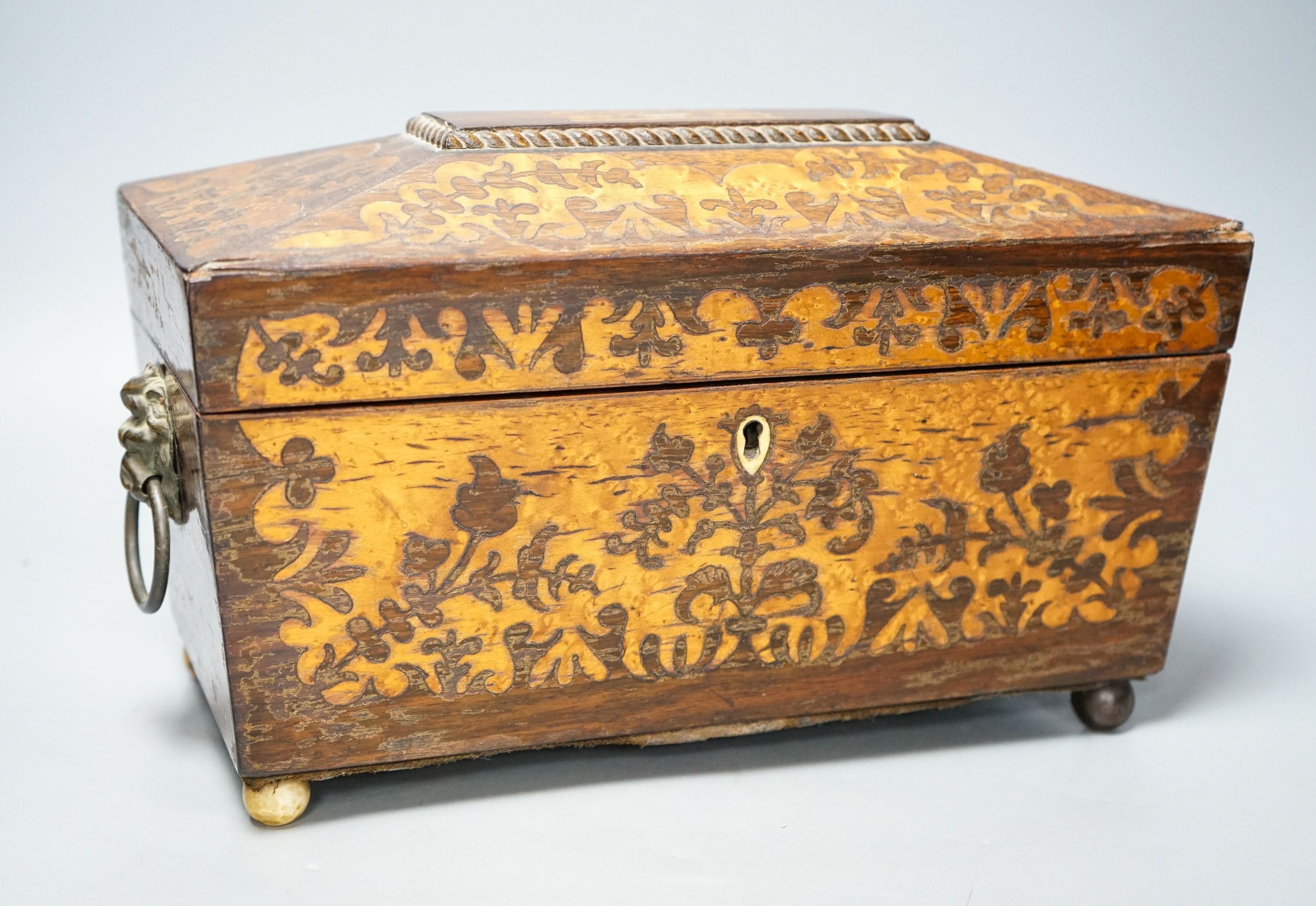 A 19th century rosewood and bird’s eye maple tea caddy, of sarcophagus form, the interior with mixing bowl, on ball feet 31cm